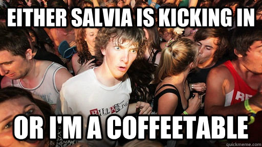 either salvia is kicking in or i'm a coffeetable  Sudden Clarity Clarence