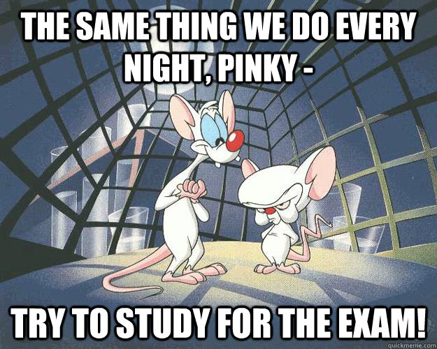 The same thing we do every night, pinky - Try to study for the exam! - The same thing we do every night, pinky - Try to study for the exam!  The Brain On Study