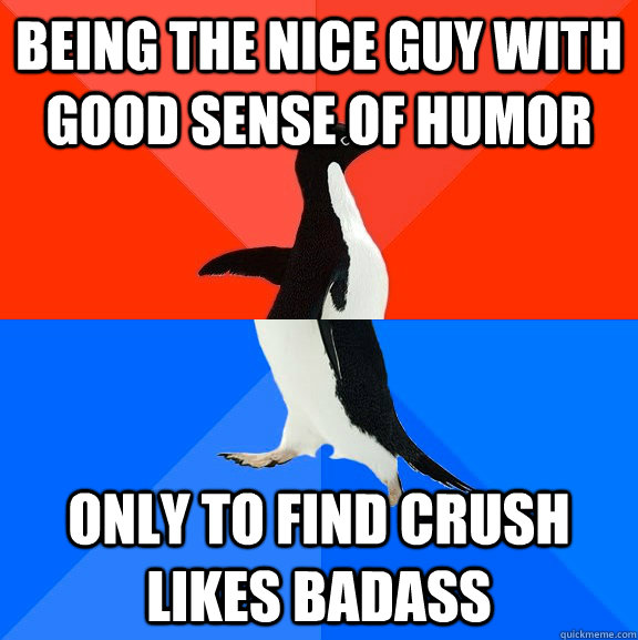 being the nice guy with good sense of humor  only to find crush likes badass  Socially Awesome Awkward Penguin