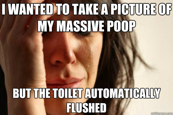 i wanted to take a picture of my massive poop but the toilet automatically flushed - i wanted to take a picture of my massive poop but the toilet automatically flushed  First World Problems