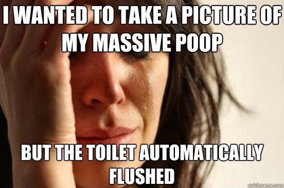 i wanted to take a picture of my massive poop but the toilet automatically flushed  First World Problems