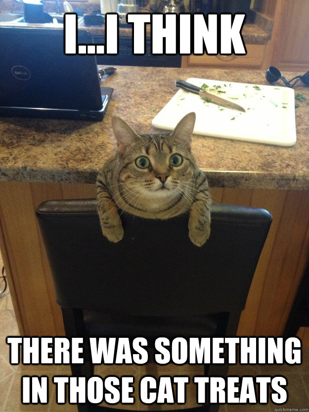 i...i think  there was something in those cat treats  Treat Tripping Kitty