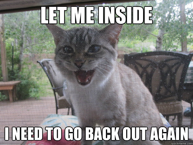 Let me inside I need to go back out again - Let me inside I need to go back out again  Wrong side of the door Cat