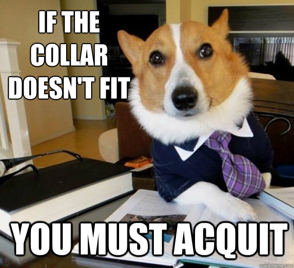 If the collar doesn't fit you must acquit  Lawyer Dog