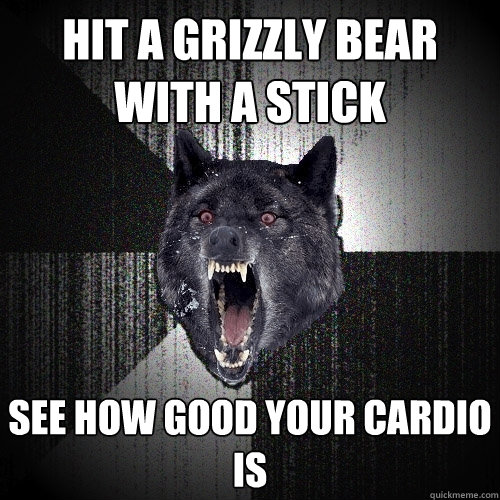 hit a grizzly bear with a stick see how good your cardio is  Insanity Wolf