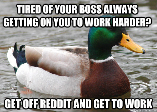 Tired of your boss always getting on you to work harder? get off reddit and get to work  Actual Advice Mallard