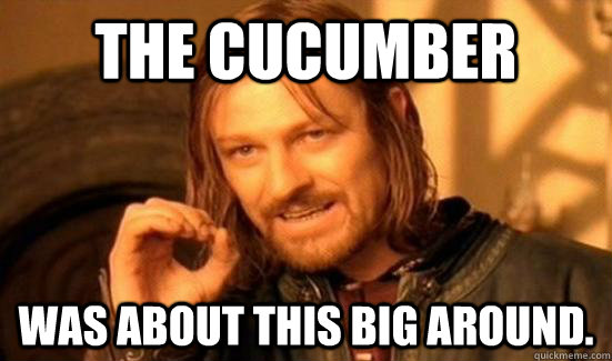 The cucumber Was about this big around.  Boromir