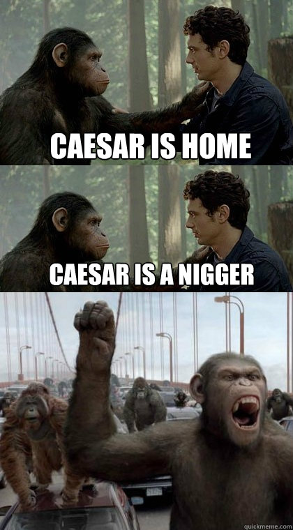 CAesar is home Caesar is a nigger - CAesar is home Caesar is a nigger  Caesar Is Mad