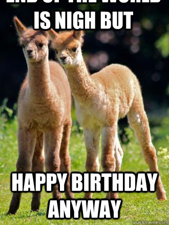 end of the world is nigh but happy birthday anyway - end of the world is nigh but happy birthday anyway  hungry alpaca