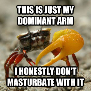THIS IS JUST MY DOMINANT ARM I HONESTLY DON'T MASTURBATE WITH IT  untitled meme