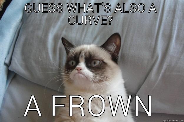 GUESS WHAT'S ALSO A CURVE? A FROWN Grumpy Cat