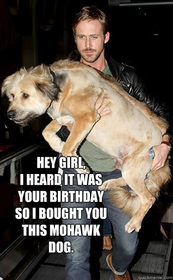 Hey Girl, 
I heard it was your birthday so I bought you this mohawk dog.  Hey girl happy birthday