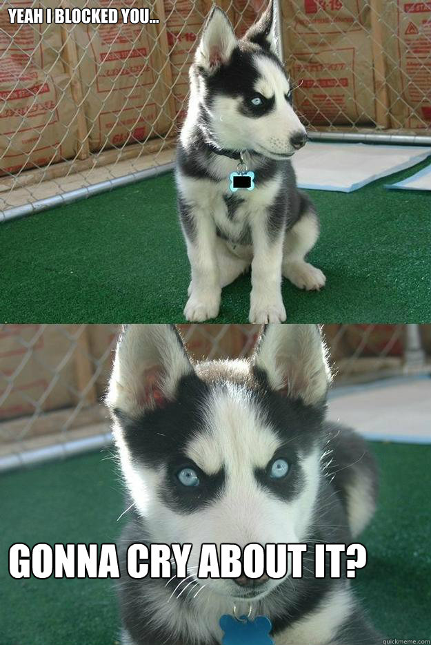 Yeah I blocked you... Gonna cry about it? - Yeah I blocked you... Gonna cry about it?  Insanity puppy