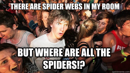 there are spider webs in my room but where are all the spiders!?  Sudden Clarity Clarence