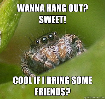 Wanna hang out?
Sweet! Cool if I bring some friends? - Wanna hang out?
Sweet! Cool if I bring some friends?  Misunderstood Spider