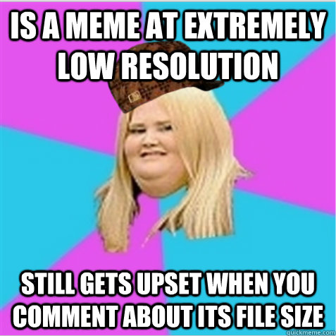 Is a meme at extremely low resolution Still gets upset when you comment about its file size - Is a meme at extremely low resolution Still gets upset when you comment about its file size  scumbag fat girl