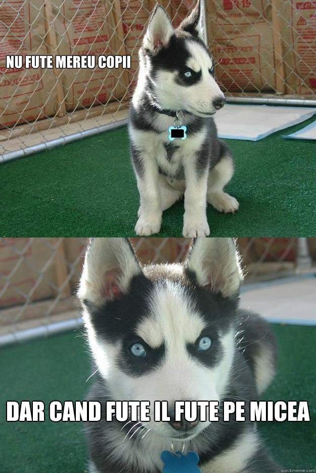 Nu fute mereu copii Dar cand fute il fute pe micea  Insanity puppy