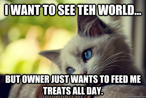 I want to see teh world... but owner just wants to feed me treats all day.   First World Problems Cat