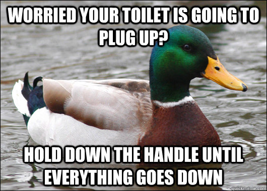 Worried your toilet is going to plug up? Hold down the handle until everything goes down - Worried your toilet is going to plug up? Hold down the handle until everything goes down  Actual Advice Mallard