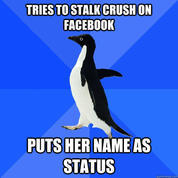 tries to stalk crush on facebook puts her name as status  Socially Awkward Penguin