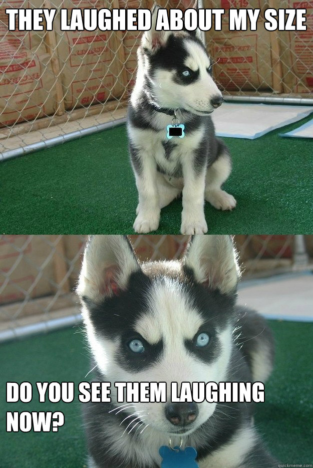 They laughed about my size Do you see them laughing now?  Insanity puppy