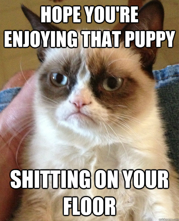 Hope you're enjoying that puppy shitting on your floor  Grumpy Cat