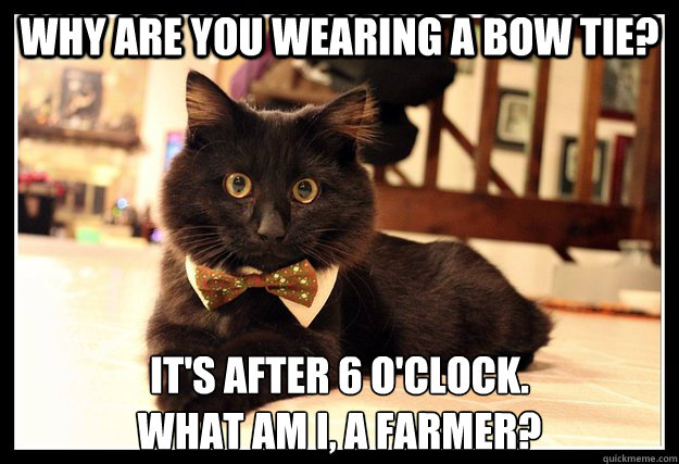 Why are you wearing a bow tie? It's after 6 o'clock.
What am I, a farmer?  Fancy Cat