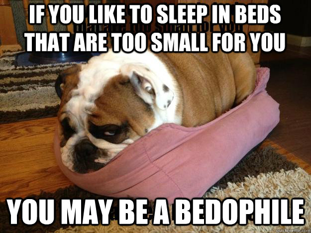 If you like to sleep in beds that are too small for you You may be a bedophile - If you like to sleep in beds that are too small for you You may be a bedophile  Bedophile