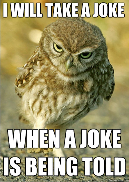 I WILL TAKE A JOKE WHEN A JOKE IS BEING TOLD  Angry Owl