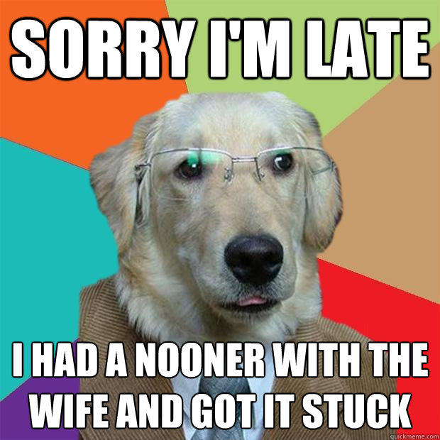 Sorry i'm late i had a nooner with the wife and got it stuck  Business Dog
