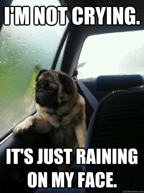 I'm not crying. It's just raining on my face. - I'm not crying. It's just raining on my face.  Introspective Pug