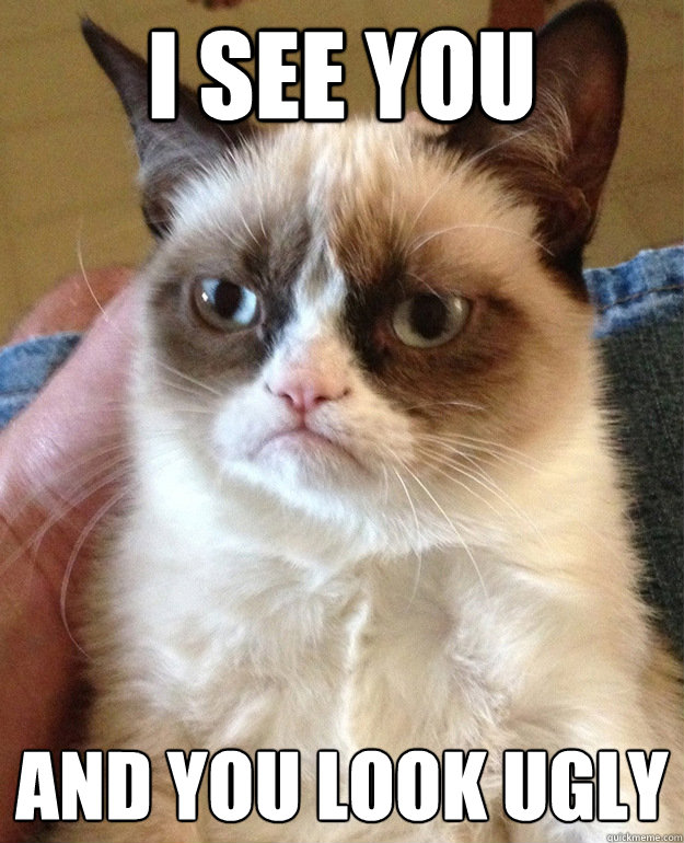 i see you and you look ugly  grumpycat