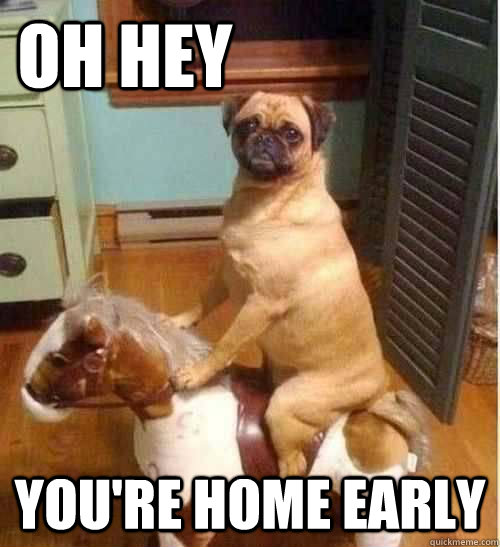 Oh Hey  You're home early - Oh Hey  You're home early  Pug on rocking horse