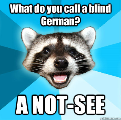 What do you call a blind German? A NOT-SEE - What do you call a blind German? A NOT-SEE  Lame Pun Coon