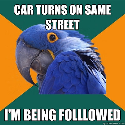 car turns on same street I'm being folllowed  Paranoid Parrot