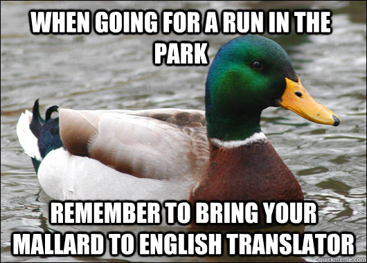 When going for a run in the park remember to bring your mallard to english translator  Actual Advice Mallard