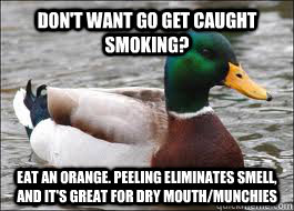 don't want go get caught smoking? eat an orange. peeling eliminates smell, and it's great for dry mouth/munchies  Good Advice Duck