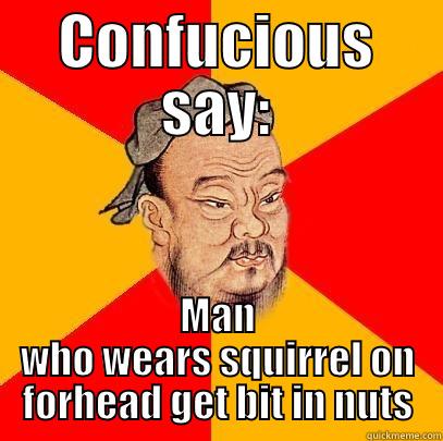Donald trump - CONFUCIOUS SAY: MAN WHO WEARS SQUIRREL ON FORHEAD GET BIT IN NUTS Confucius says