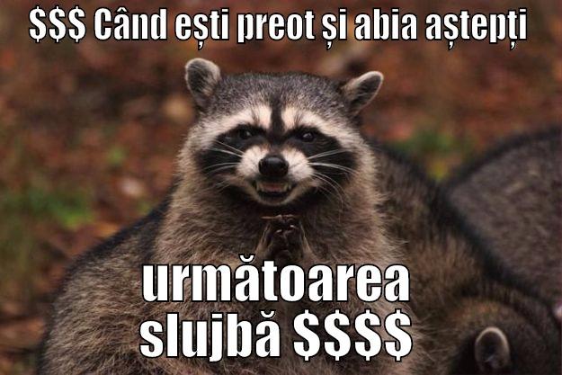 Bani bani bani !!! - $$$ CÂND EȘTI PREOT ȘI ABIA AȘTEPȚI URMĂTOAREA SLUJBĂ $$$$ Evil Plotting Raccoon