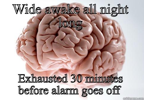 WIDE AWAKE ALL NIGHT LONG EXHAUSTED 30 MINUTES BEFORE ALARM GOES OFF  Scumbag Brain