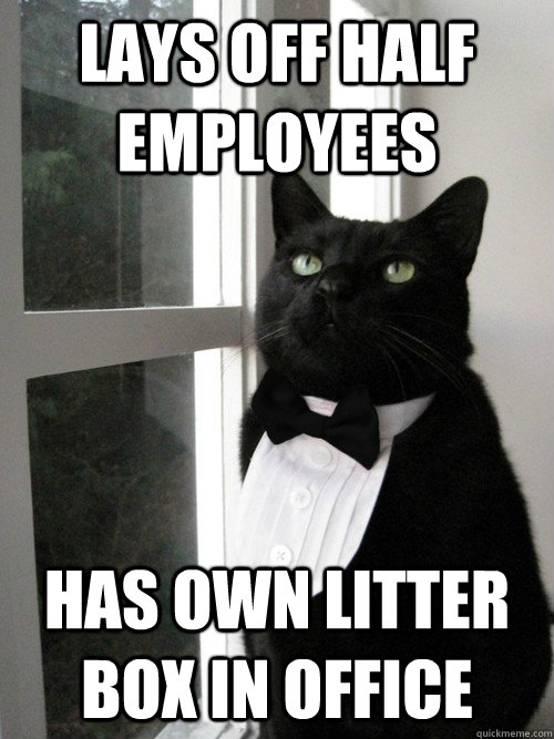 Lays off half employees Has own litter box in office - Lays off half employees Has own litter box in office  One Percent Cat