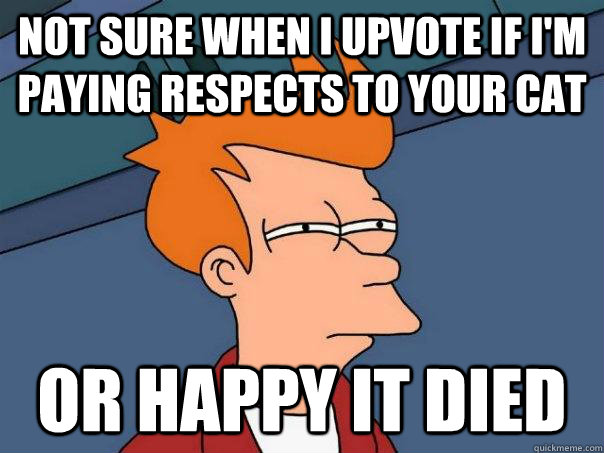 NOT SURE when I upvote if I'm paying respects to your cat Or happy it died  Futurama Fry