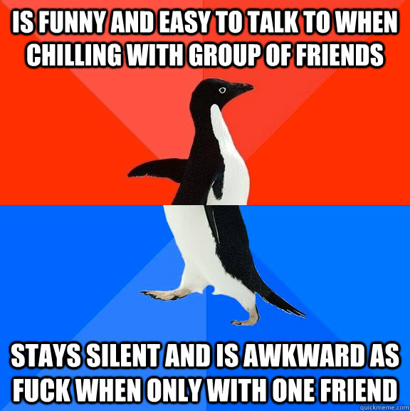 Is funny and easy to talk to when chilling with group of friends Stays silent and is awkward as fuck when only with one friend  Socially Awesome Awkward Penguin