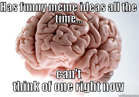 HAS FUNNY MEME IDEAS ALL THE TIME... CAN'T THINK OF ONE RIGHT NOW Scumbag Brain