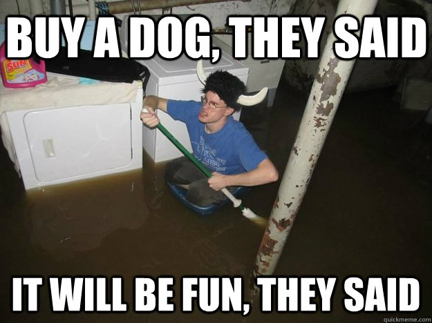 Buy a dog, they said It will be fun, they said  Do the laundry they said