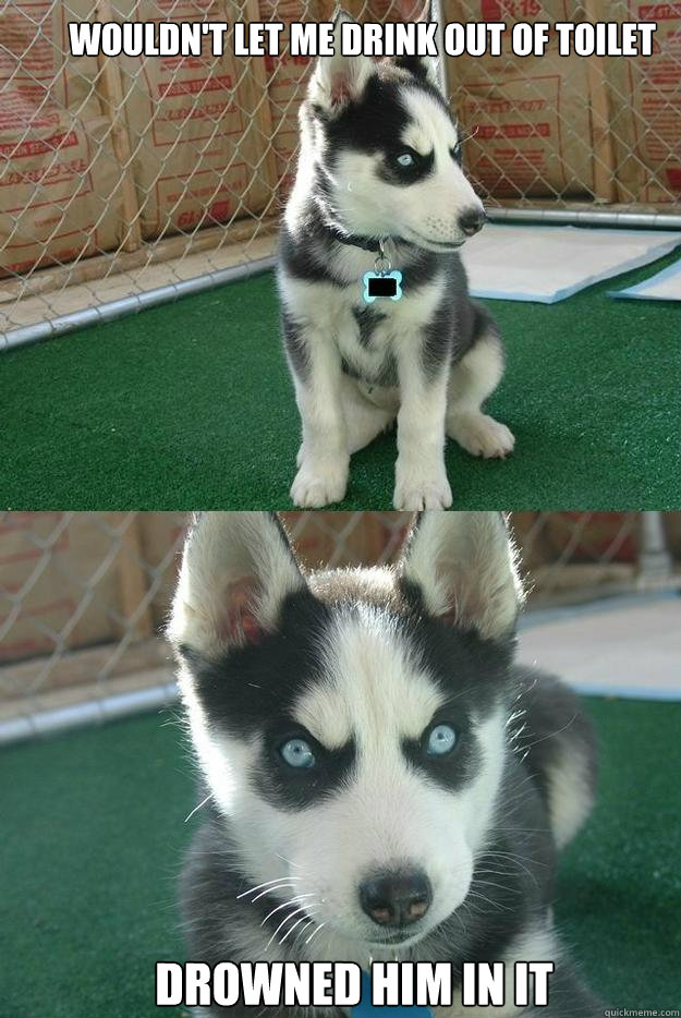      wouldn't let me drink out of toilet


 
             drowned him in it  Insanity puppy