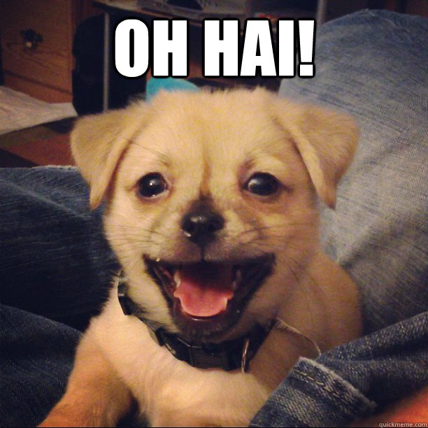 OH HAI!   One Happy Puppy