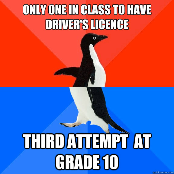 Only one in class to have driver's licence Third attempt  at grade 10  Socially Awesome Awkward Penguin