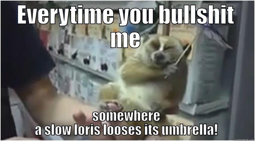 EVERYTIME YOU BULLSHIT ME SOMEWHERE A SLOW LORIS LOOSES ITS UMBRELLA! Misc