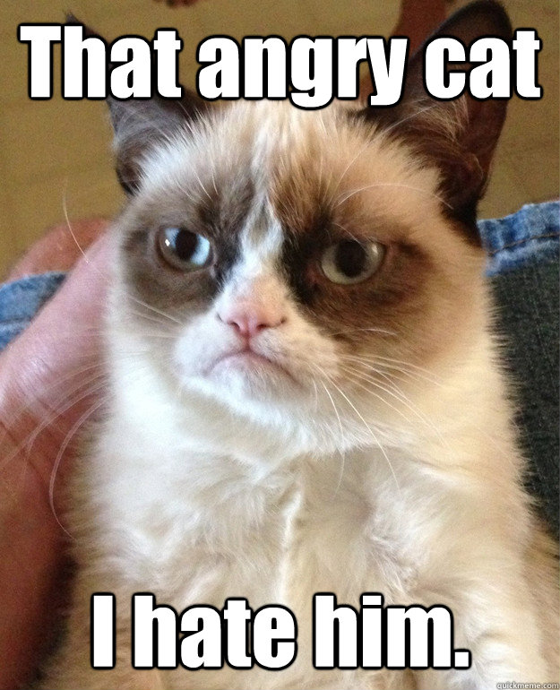 That angry cat I hate him.   Angry Cat